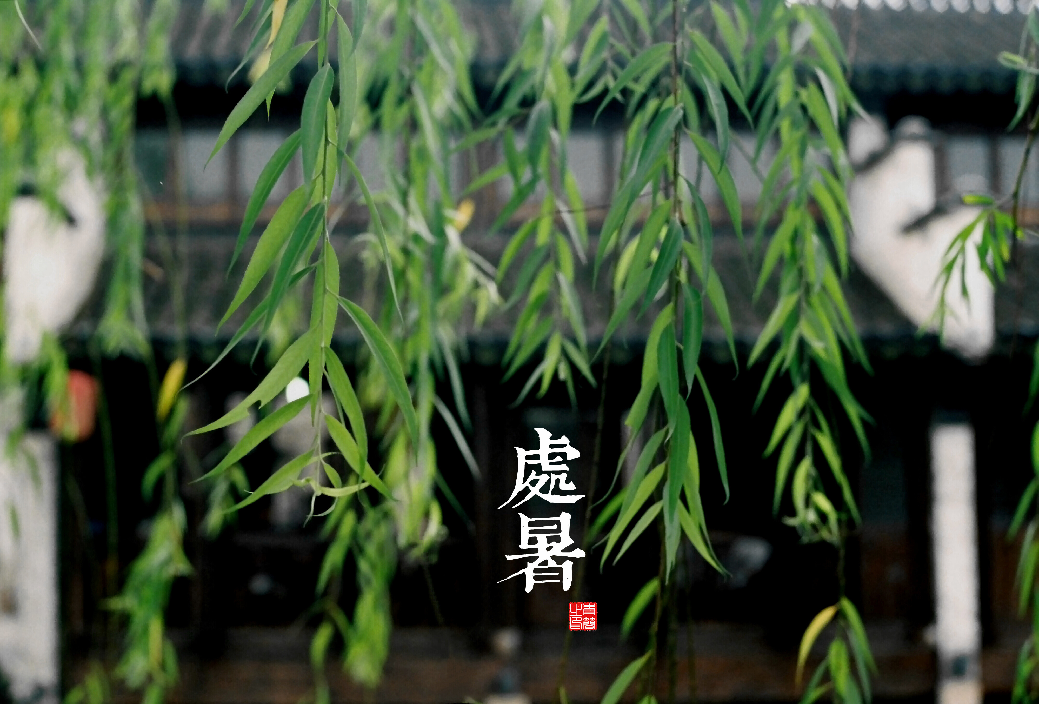 国际业务发展管培生